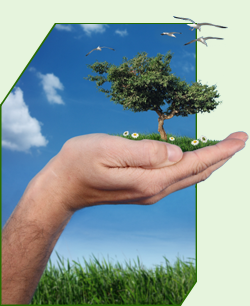 Site Image Studios: Custom Web Design